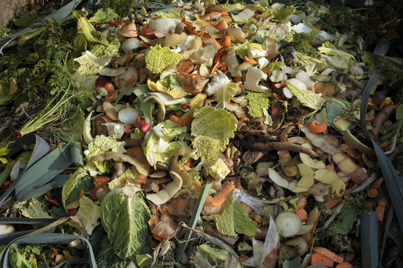 Effortless Junk Removal Why Rubbish Removal Bags Outshine Standard Skip Bins