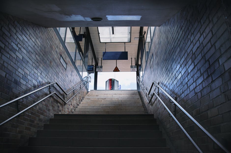The image shows a downward view of a staircase leading to an outdoor area near Elmstead Woods station. The staircase has dark, smooth steps with metallic handrails on both sides, and the surrounding w